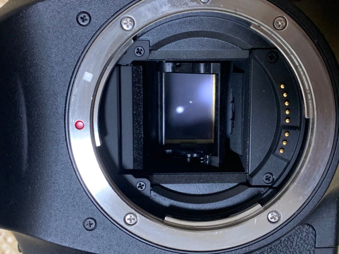 Canon EOS 7D デジタル一眼レフカメラ　シャッター30000回