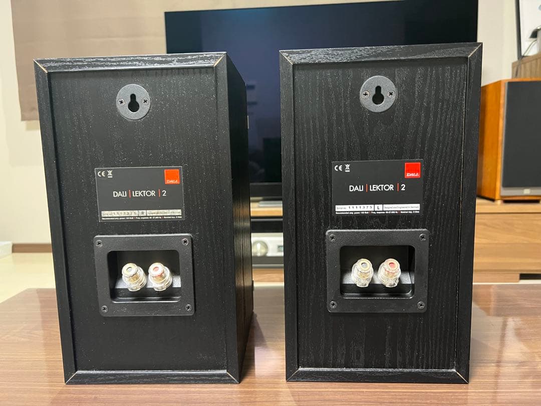 DALI LEKTOR2 スピーカーペア　ダリ　レクトール2