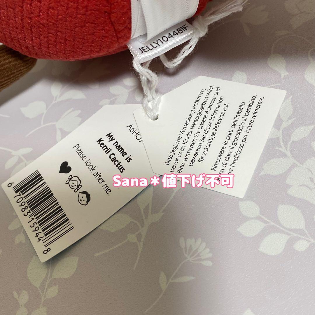 廃盤 新品 ジェリーキャット サボテン さぼてん 覇王樹 植物