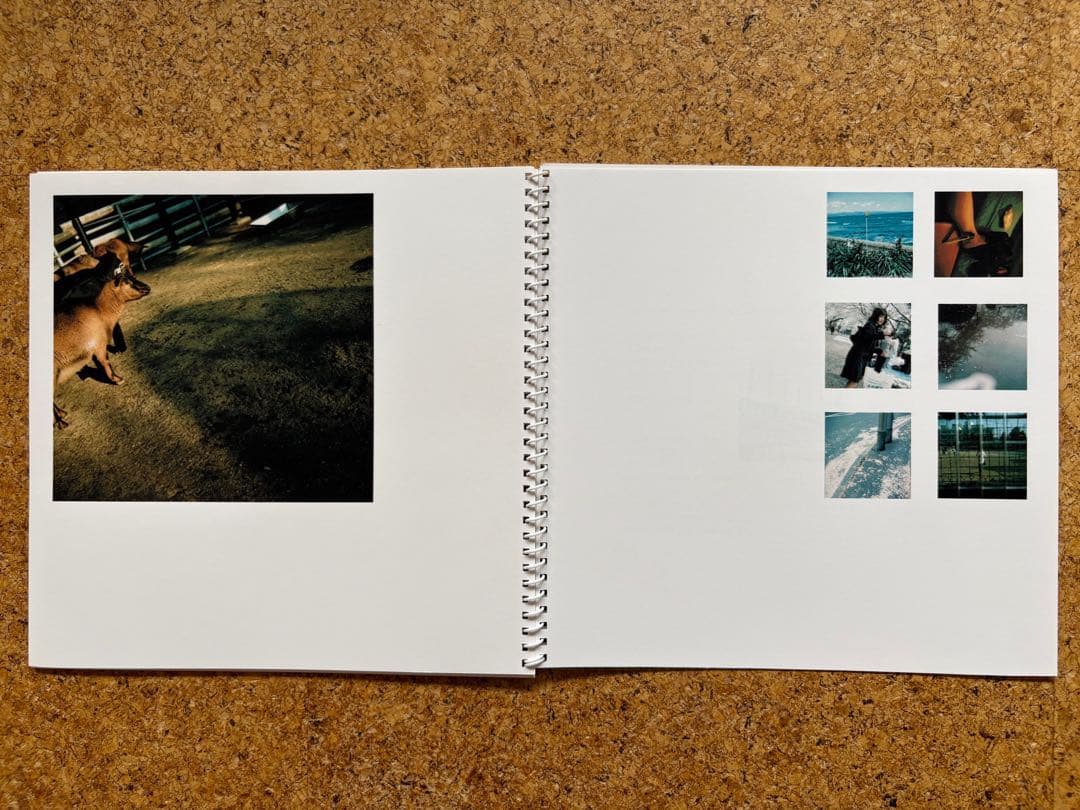 原美樹子写真展「AGNUS DEI」 1998年インクジェット写真集 - メルカリ