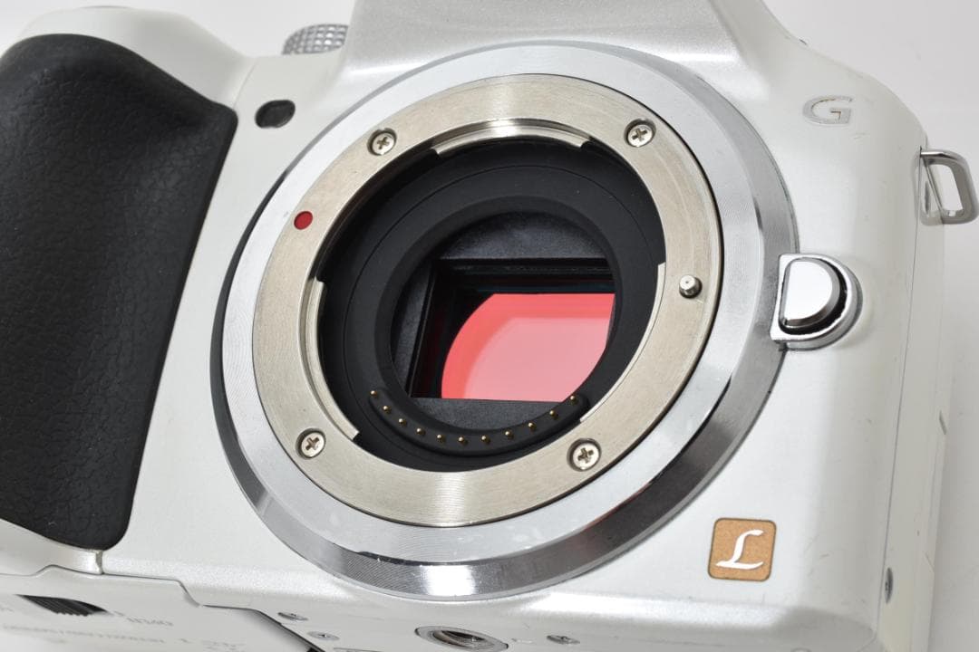 ★並品★ パナソニック LUMIX DMC-G5 ボディ #20825