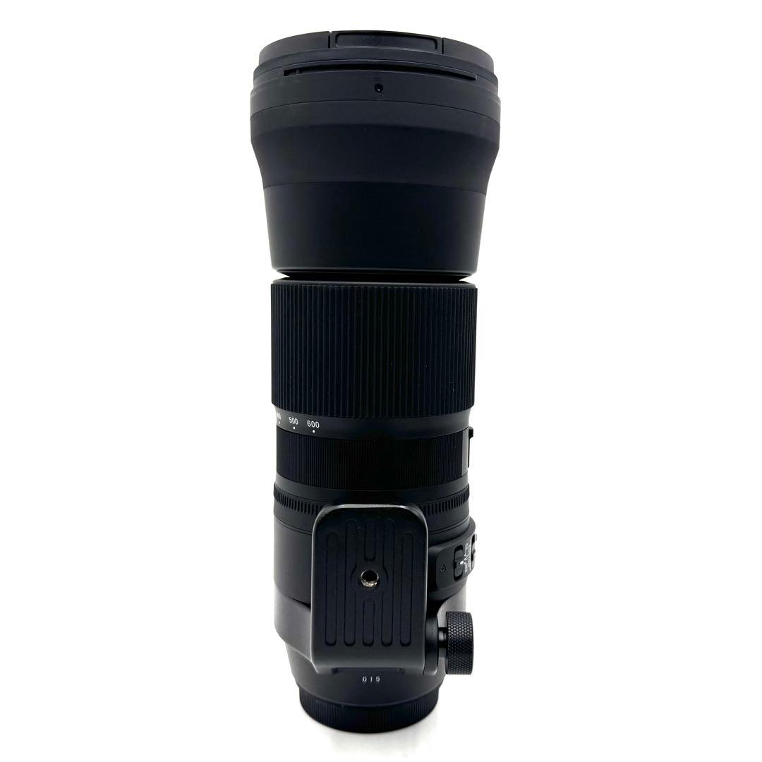 美品 SIGMA 150-600mm F5-6.3 CANON EF マウント用
