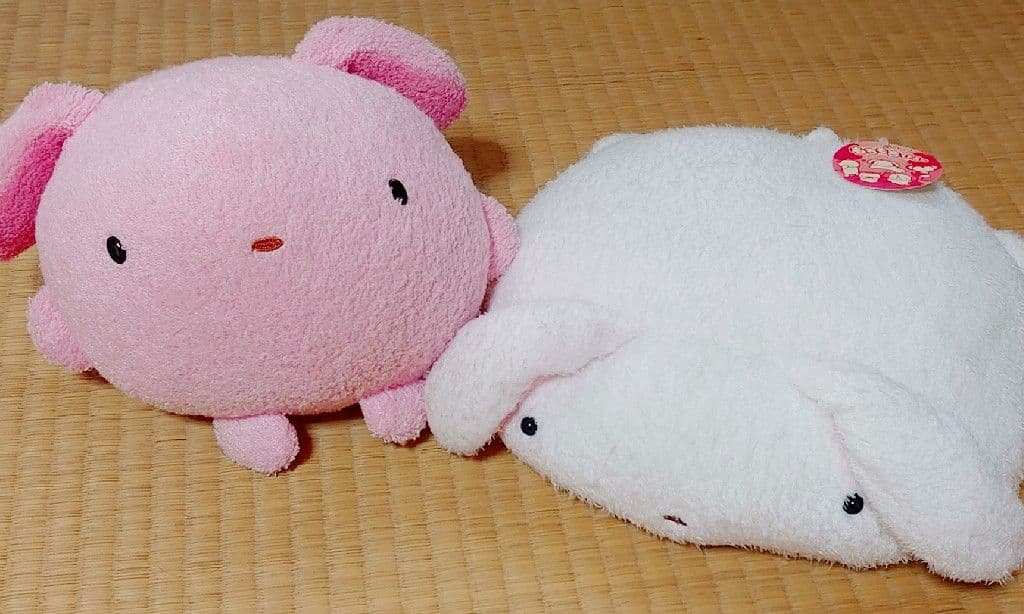 フリッカまつもと♡まんまるしりーず♡雪うさぎもちもちピロー　ぬくまろ　ぬいぐるみ Amazon.co.jp: フリッカ まつもと ましゅまろぴろー うさぎ ぬいぐるみ