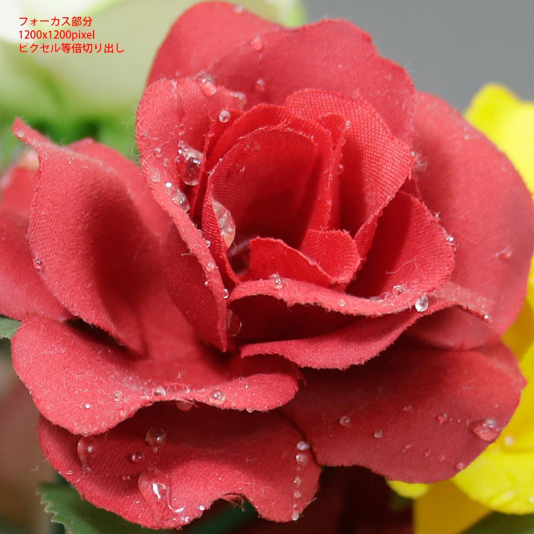 Canon EF 28-135mm ズームレンズ 美品 社外品新品フード