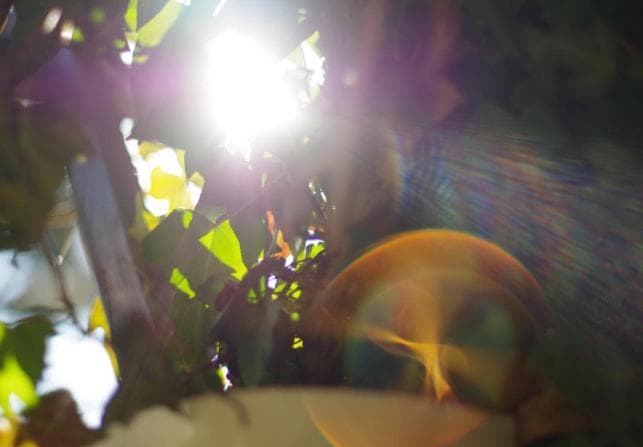 新品級☆保証Nikon AF Nikkor 28-105mm f3.5-4.5D