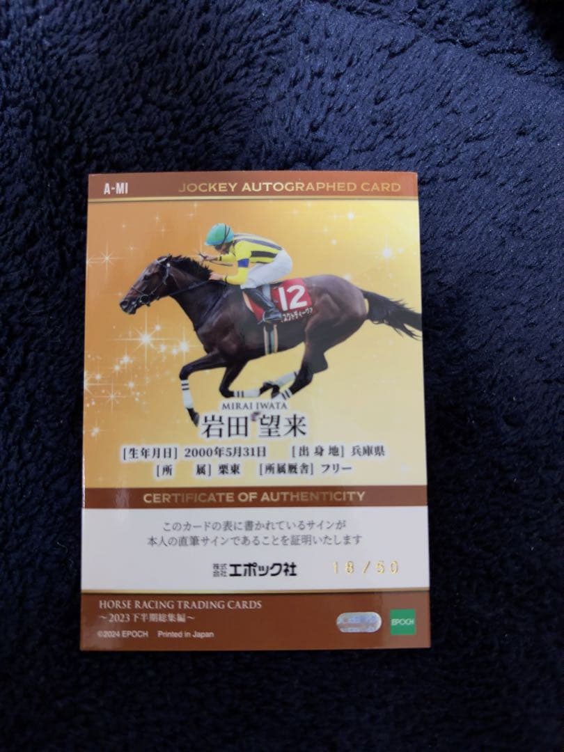 カ*ン様 ホースレーシングトレーディングカード 岩田望来 マスクトデァ