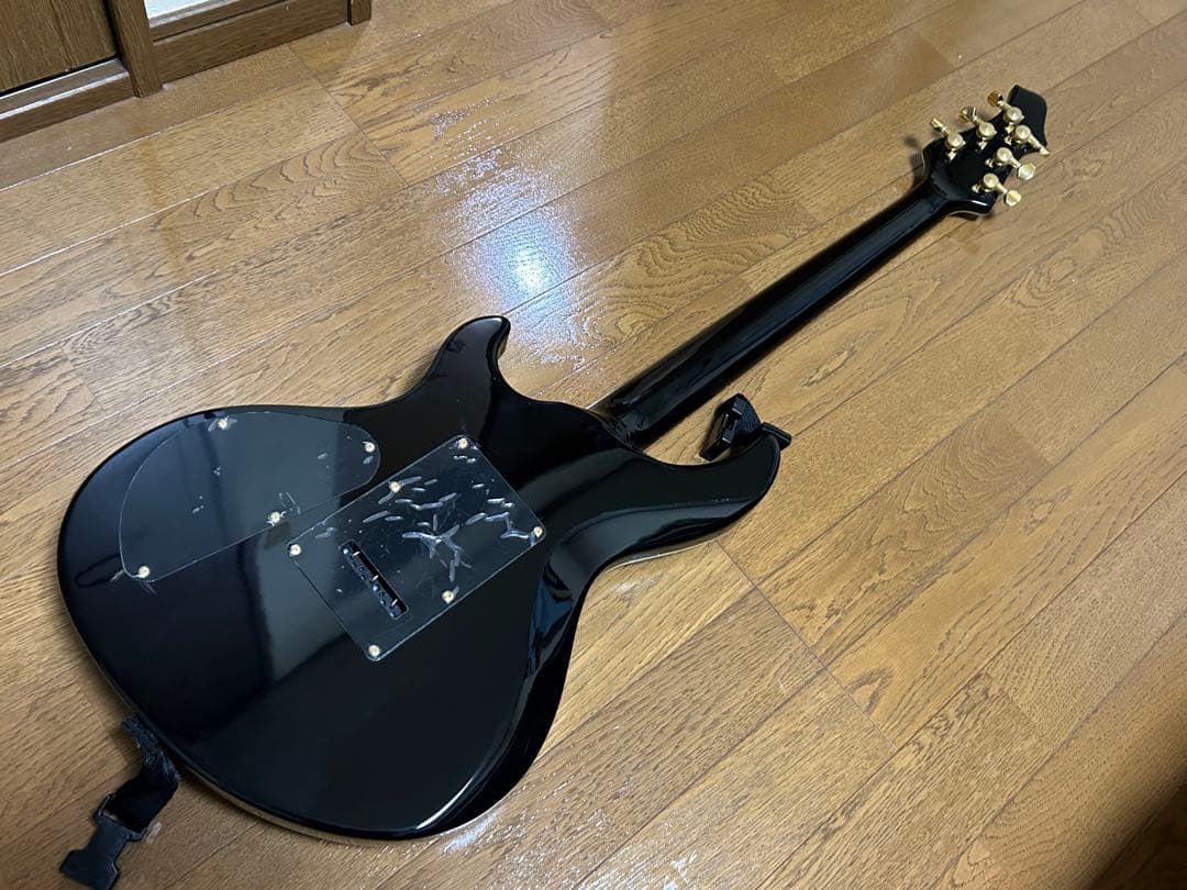 1/11限定値下げ】Inyen Vina フルオーダーギター - メルカリ