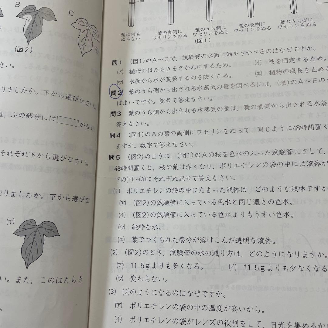 四谷大塚 上 6年生 演習問題集 漢字とことば 計算 - メルカリ