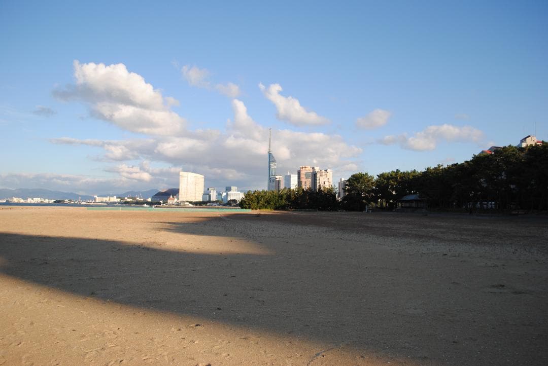 Nikon 一眼レフカメラ純正レンズ3本（標準/望遠/単焦点35mm F1.8）