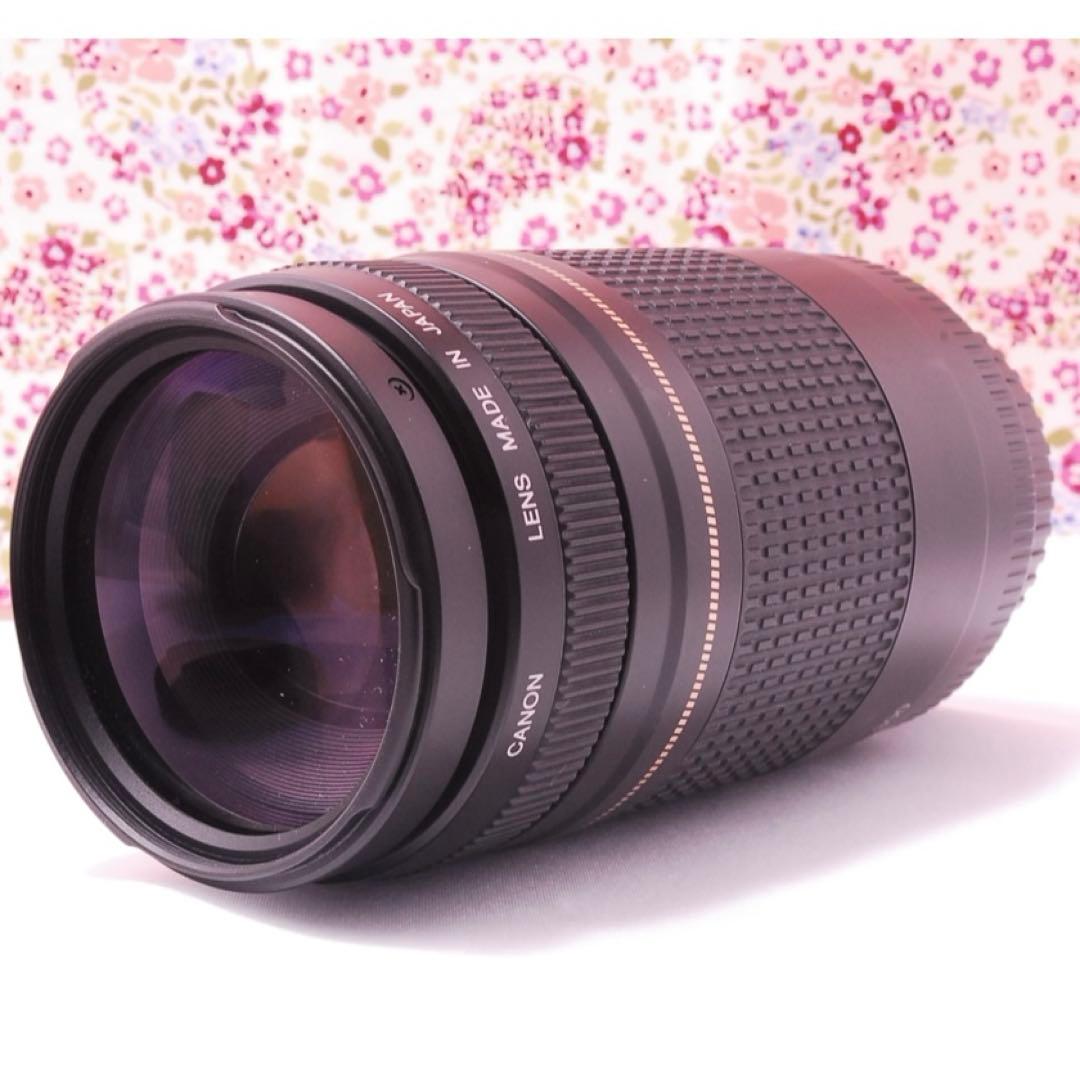【超美品】キャノン Canon 75-300mm☆超望遠レンズ☆フルサイズ機対応