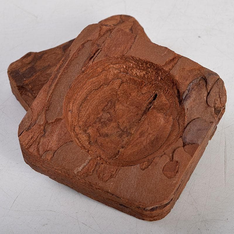 茶道具 松皮香合 表千家 十二代 宗左（惺斎）花押 共箱 V 8834 - メルカリ