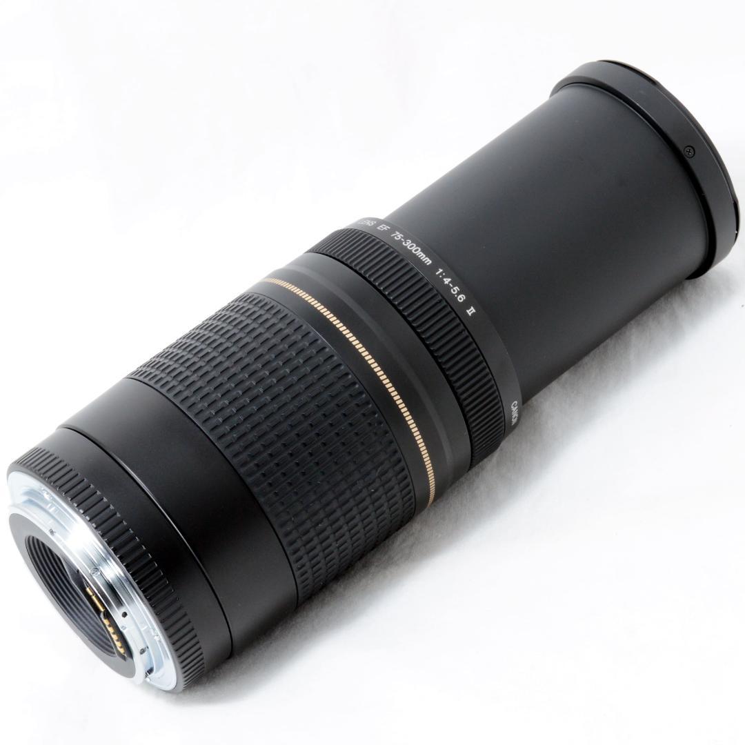 ⭐️良品⭐️Canon キャノン EF 75-300mm F4-5.6 ⅡUSM