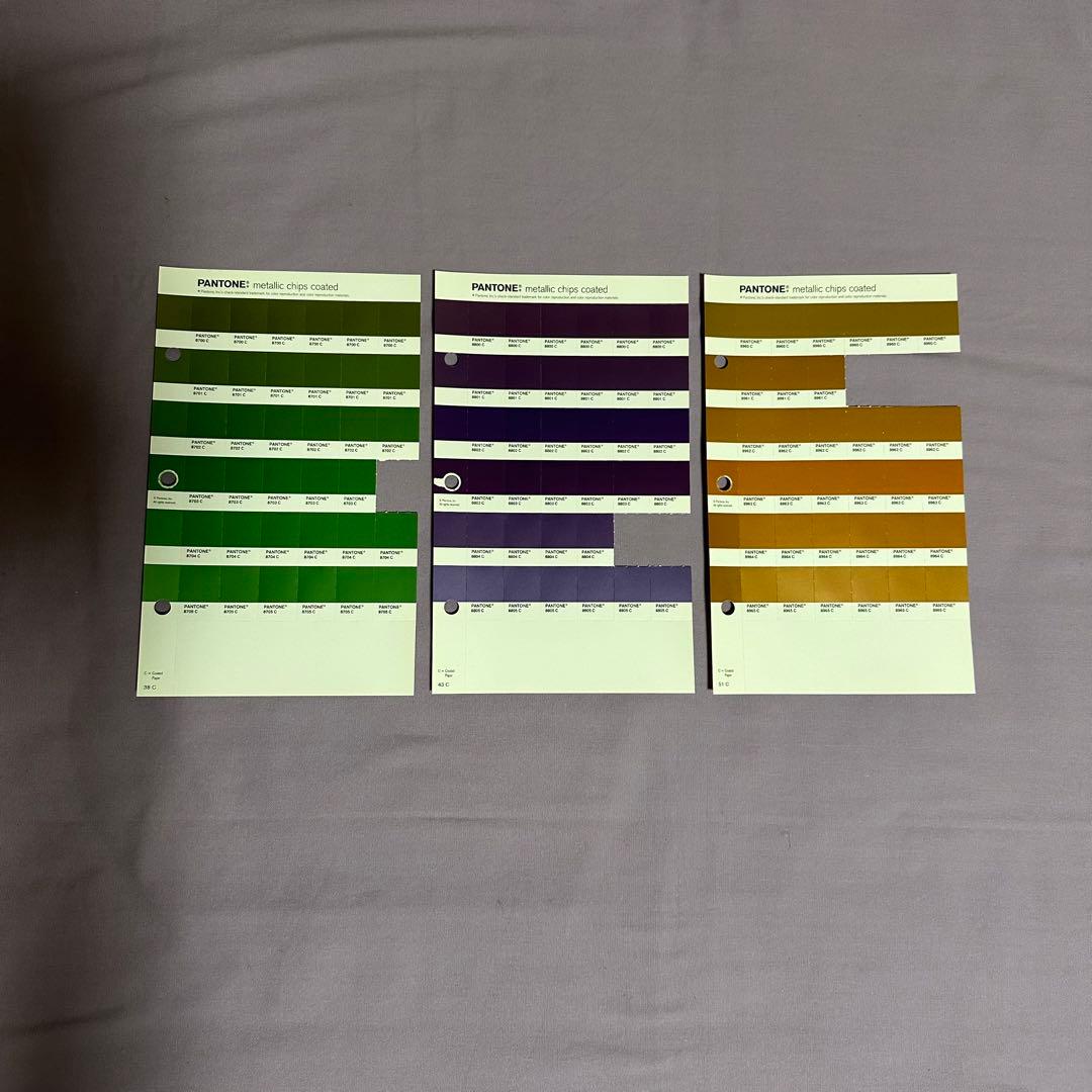 早い者勝ち！】パントンメタリックチップスコート/正規品中古保管品