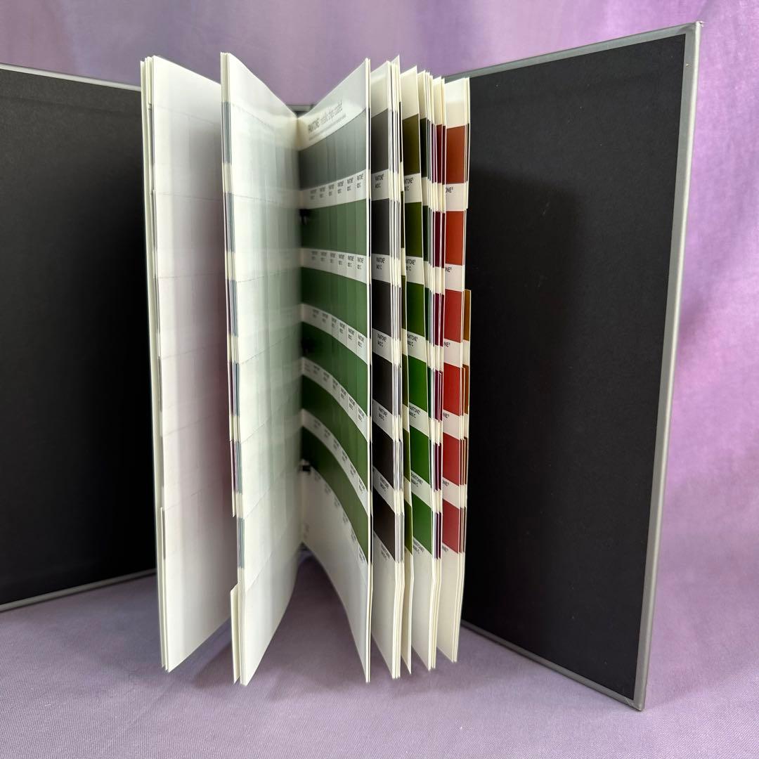 早い者勝ち！】パントンメタリックチップスコート/正規品中古保管品