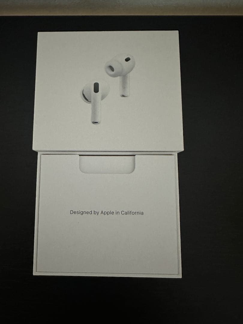 岩*二様 Apple AirPods Pro3 本体