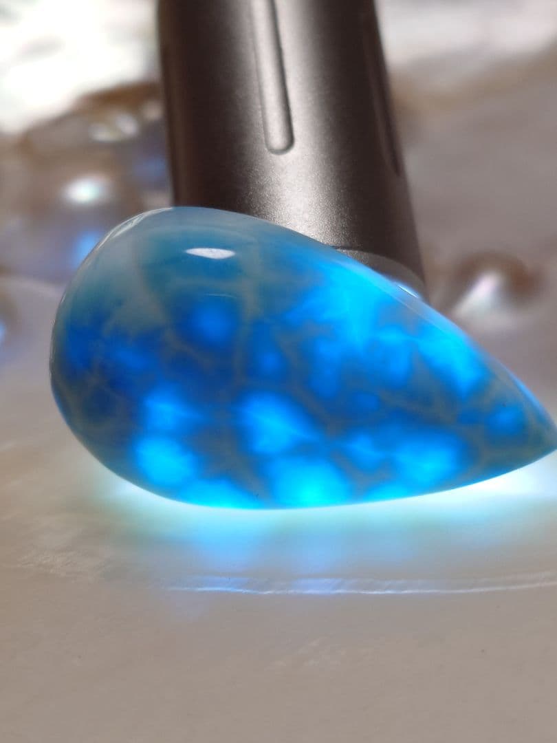 よ*ん様 プレミアム【新種】限定14個入荷ドラゴンクローラリマーしずく