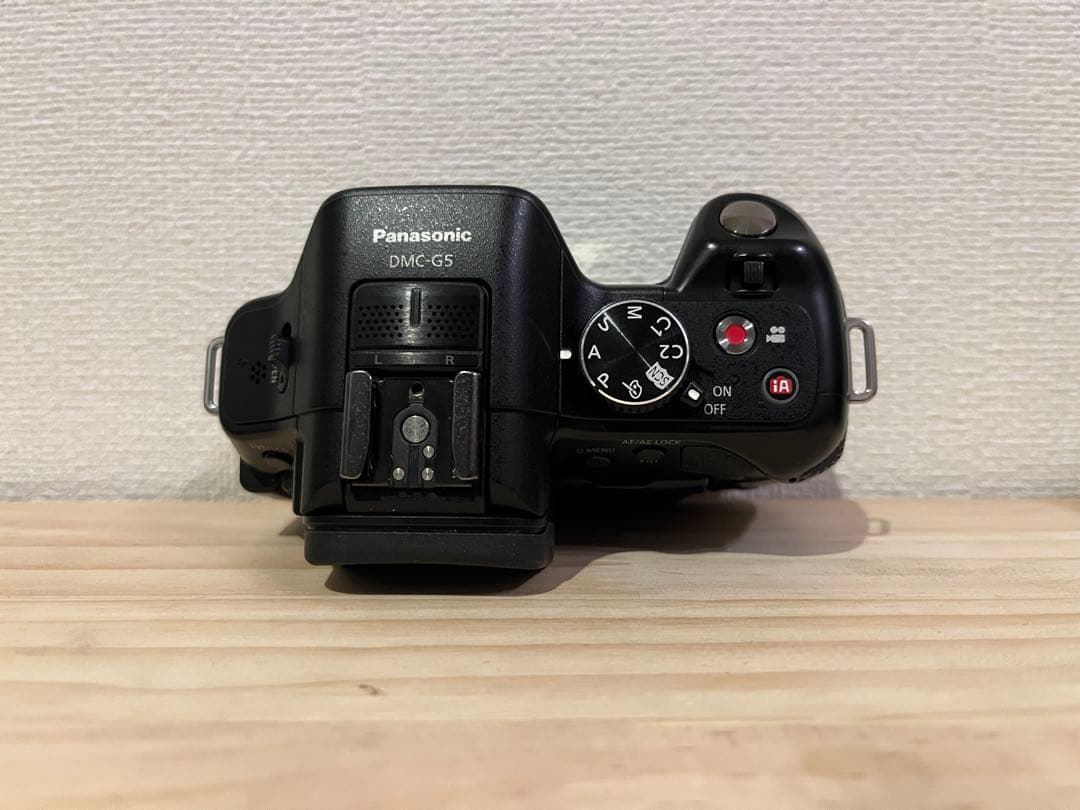 【美品 完動品】 Panasonic LUMIX DMC-G5 #25360