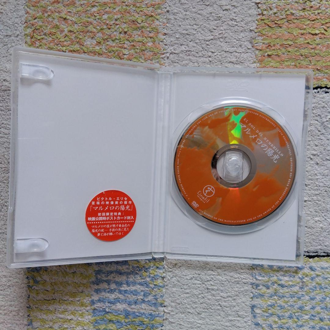 【超美品・廃盤 希少品】マルメロの陽光