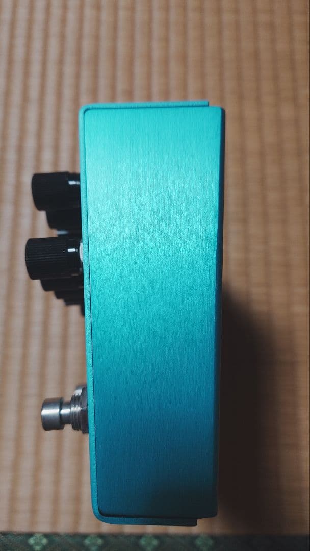 【美品 マジックテープ痕なし】strymon BigSky