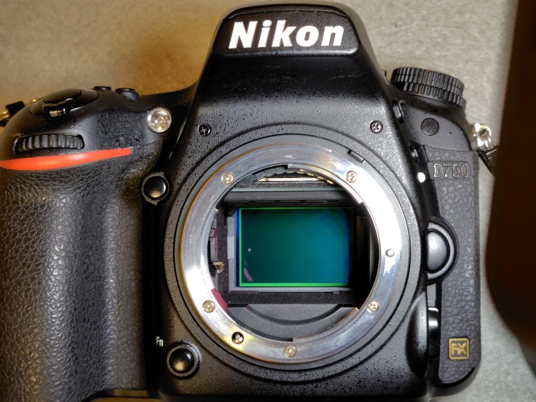 Nikon D750 24-120mm 4G VR レンズキット