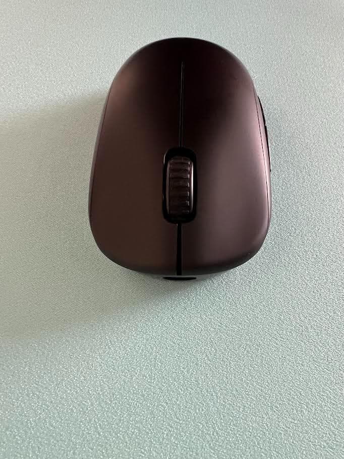 マウス・トラックボール Zowie U2-DW