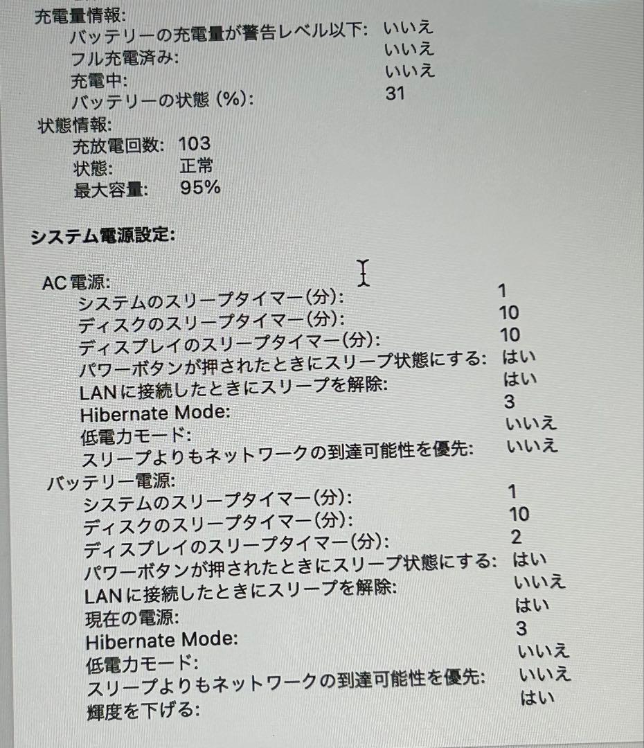 MacBook Air M3 16GB 512GB 2024購入100%