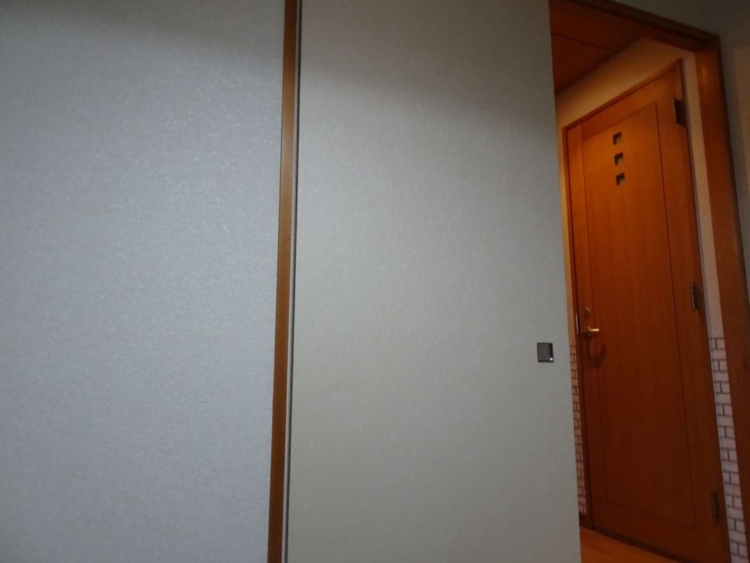 SONY DSC-WX500 ブラック