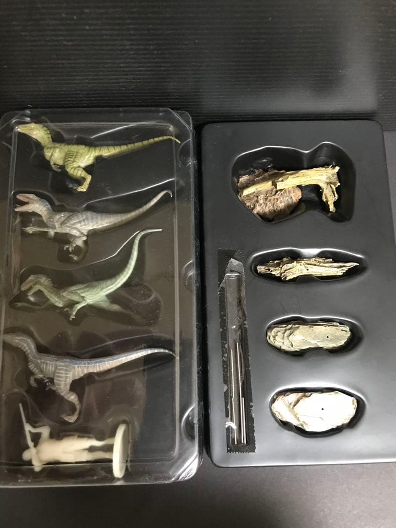 【本心楠改 1/35 ラプトル4姉妹 ver.カエサル】