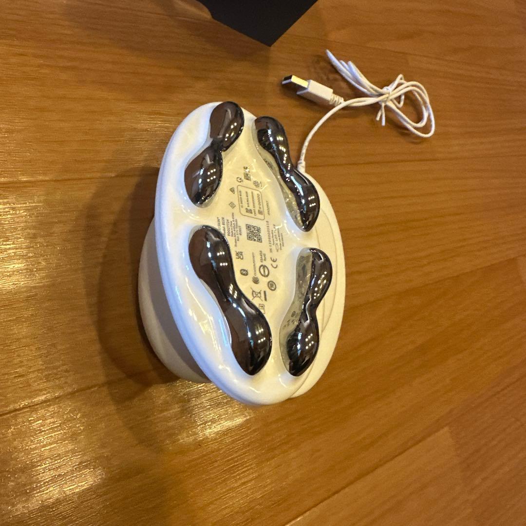 maさま専用 ニュースキンageLOC WellSpa ウェルスパio