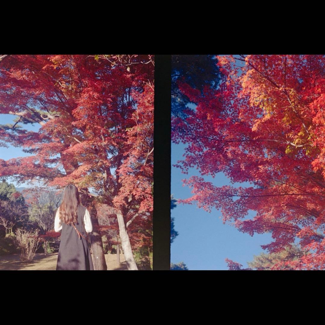 レトロフィルムカメラ/オリンパスPEN EE-2 Totte Me