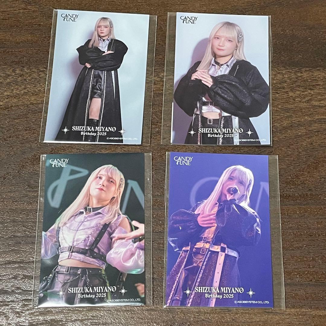 CANDY TUNE 宮野静 生誕記念2025 すきくじ チェキファイル フォト