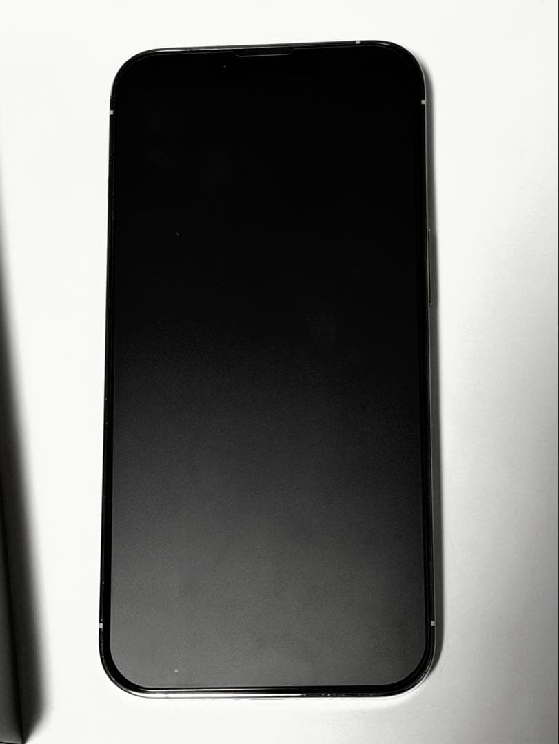 【美品】iPhone13 Pro シルバー 256GB 未使用ケーブル