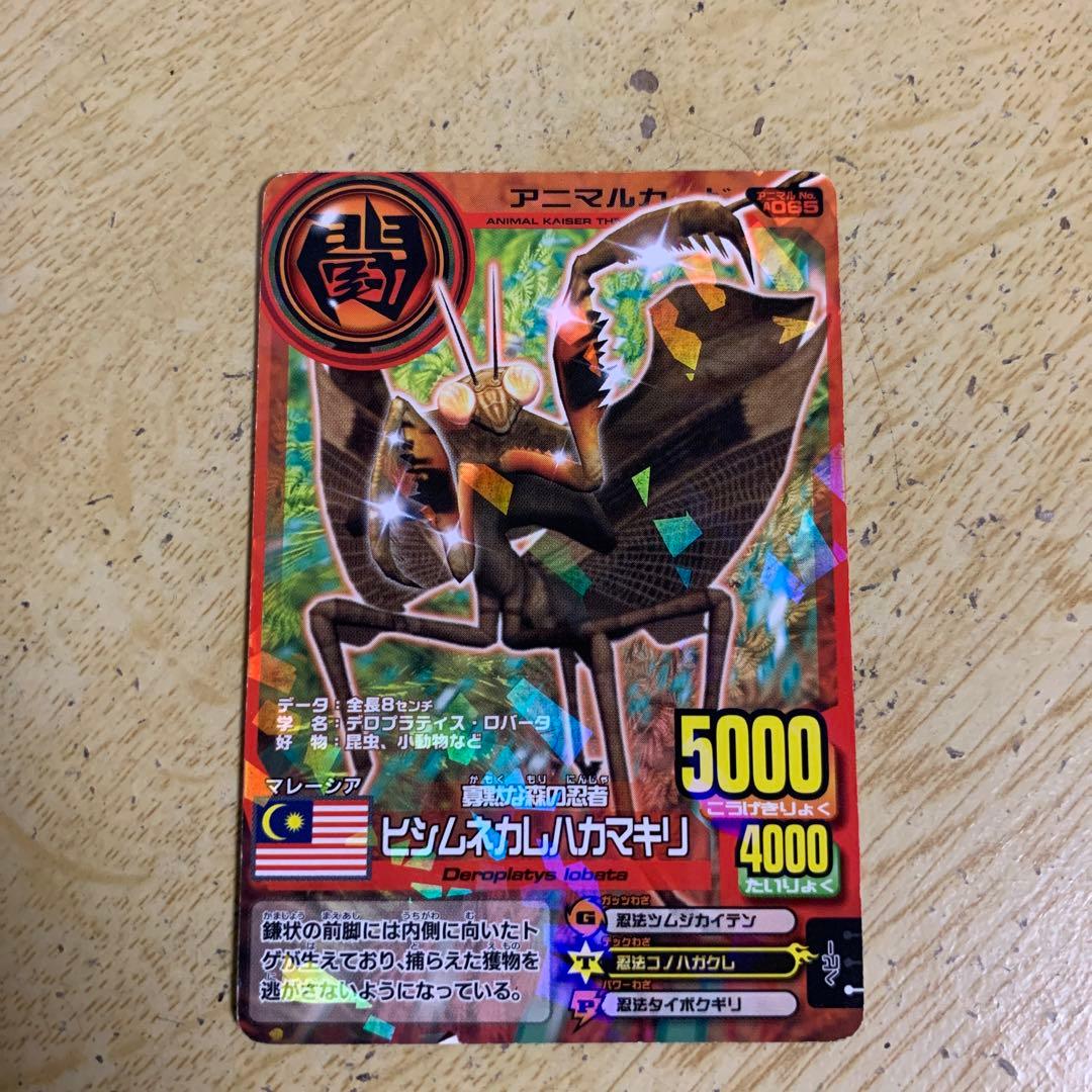 再最終値下げ)アニマルカイザーカード(ヒシムネカレハカマキリ) - メルカリ