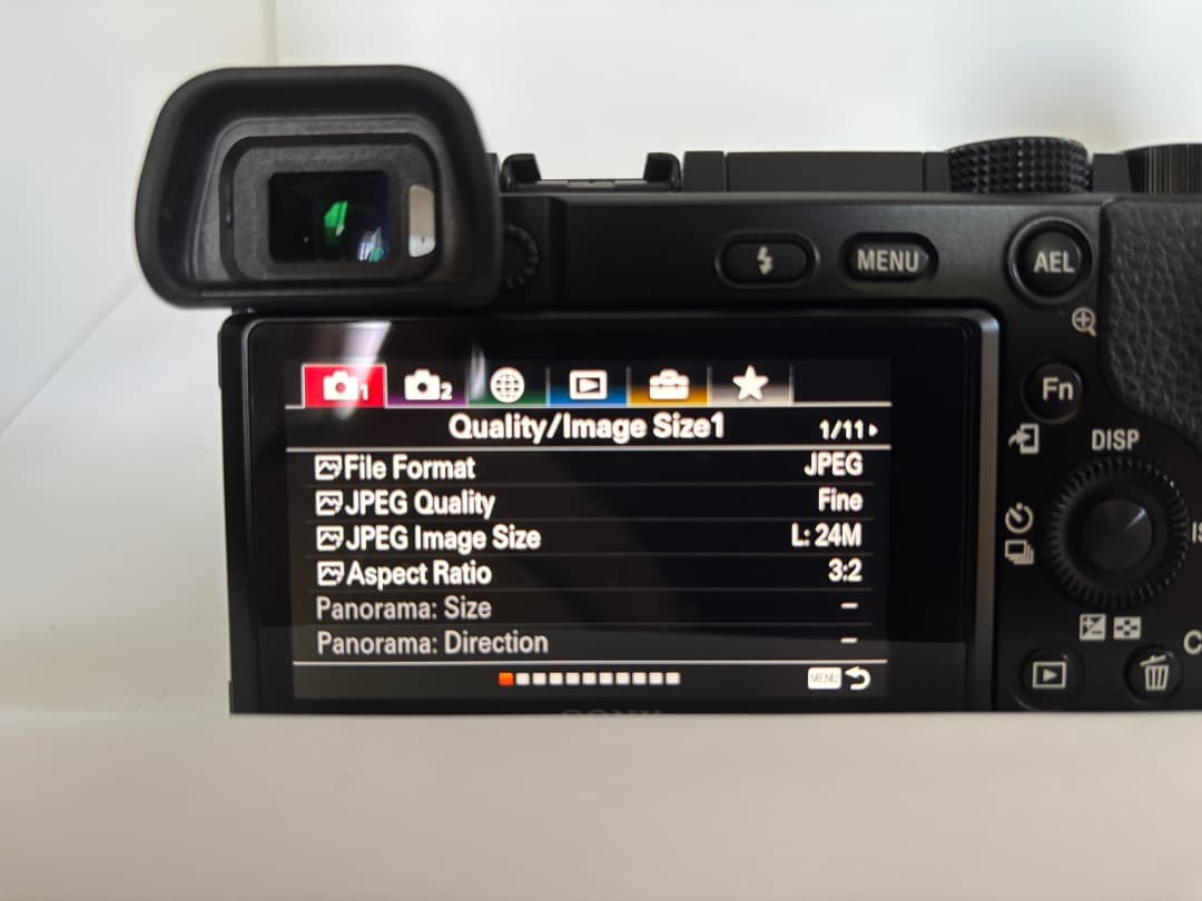 ソニーミラーレス一眼α6100＋カールツァイスズームレンズ SEL1670Z 他