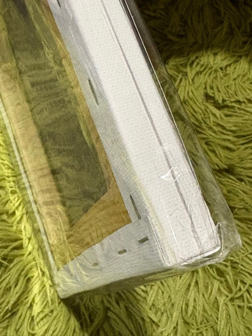 緊縛画【縄、愛し】