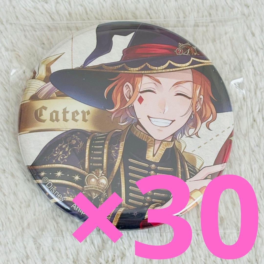 ツイステ ブルームバースデー 缶バッジ ケイト 30点 ディズニー ツイステッドワンダーランド』 ブルームバースデーカバー