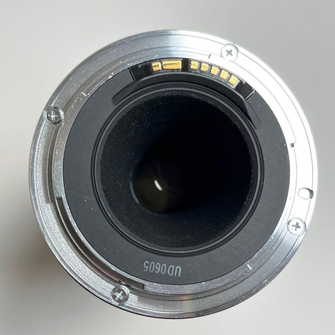 Canon キャノン EF 100-300mm f/5.6 L 望遠レンズ