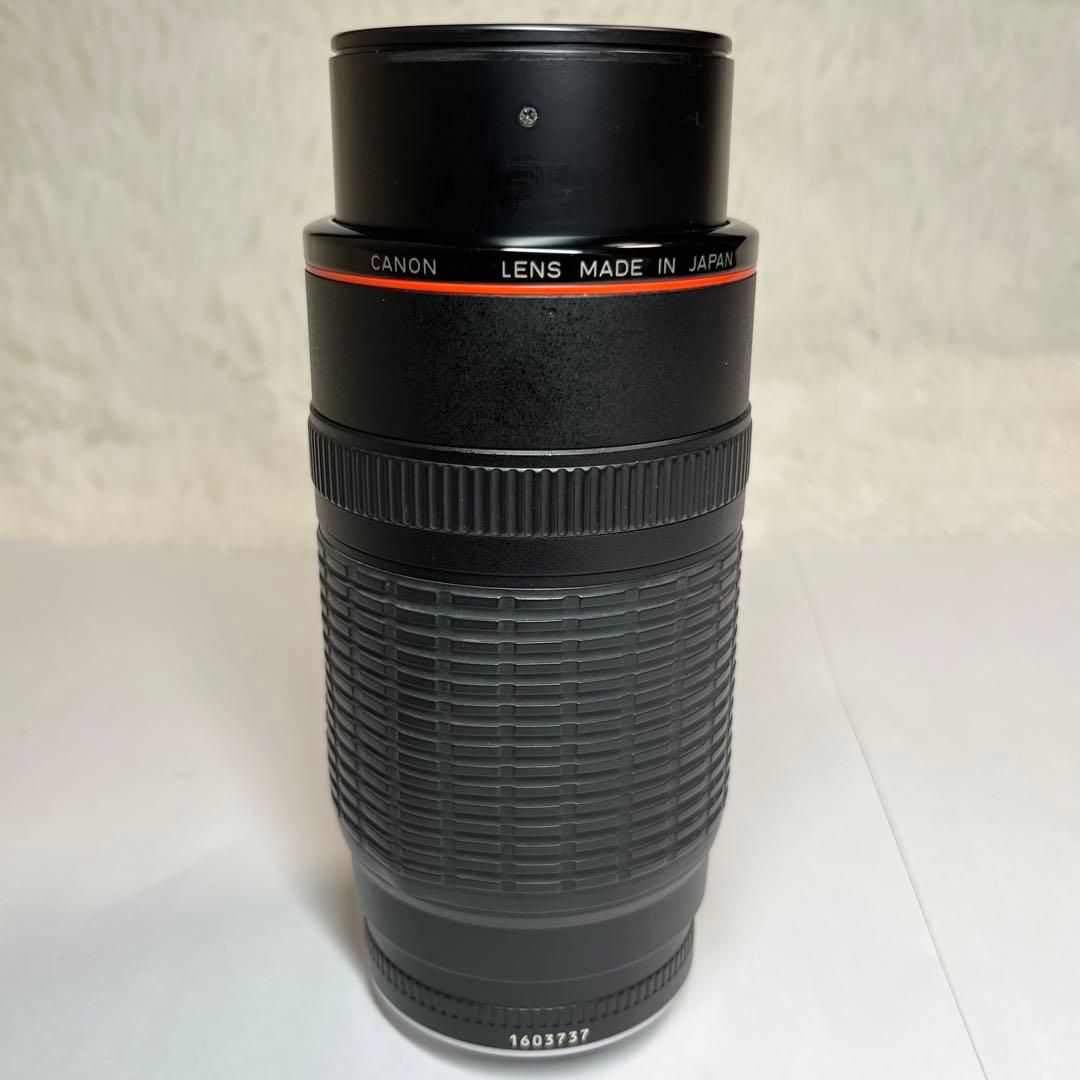 Canon キャノン EF 100-300mm f/5.6 L 望遠レンズ