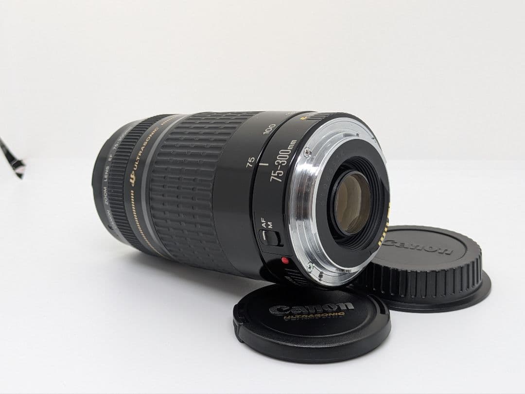 1月23日限定価格【超望遠レンズ】Canon EF 75-300mm USM