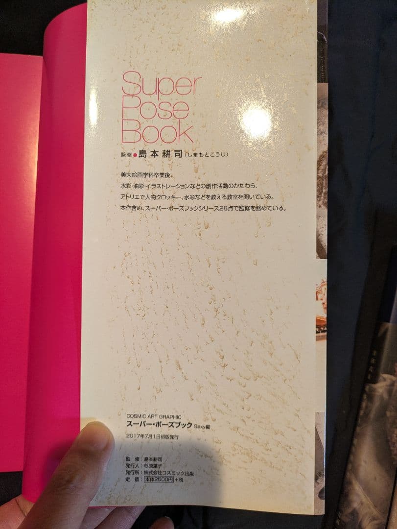 スーパーポーズブック　園田みおん　希少本