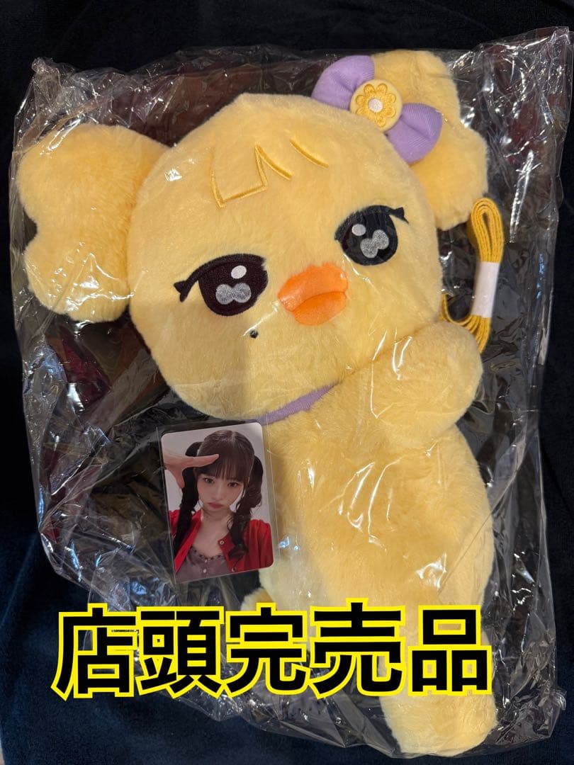 IVE POPUP minive キャラクターハグバッグ レイ トレカ付き 楽天市場】IVE [ MINIVE CHARACTER HUG BAG ] WELCOME TO MINIVE