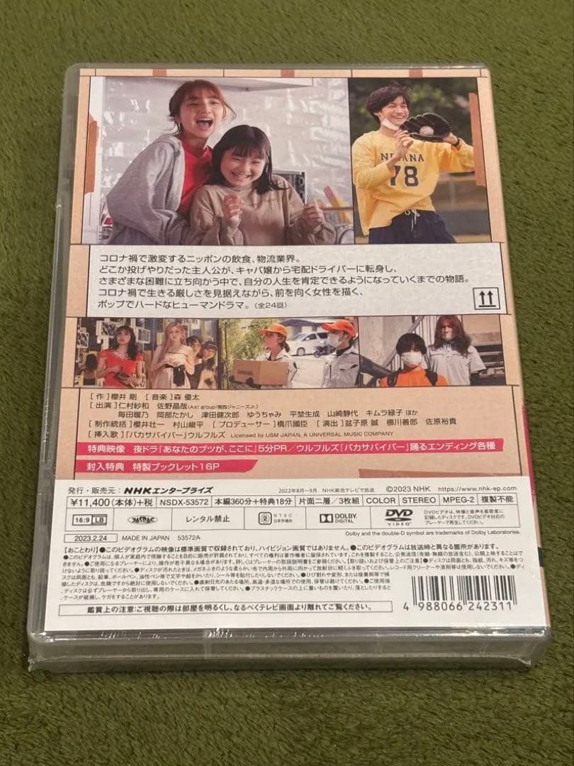 あなたのブツが、ここに　DVD