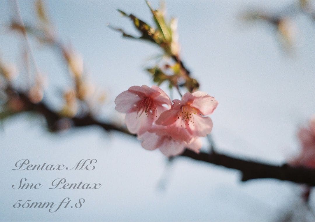 フィルム入門に！完動品＊超美品★pentax me★初期保証付★作例多数！