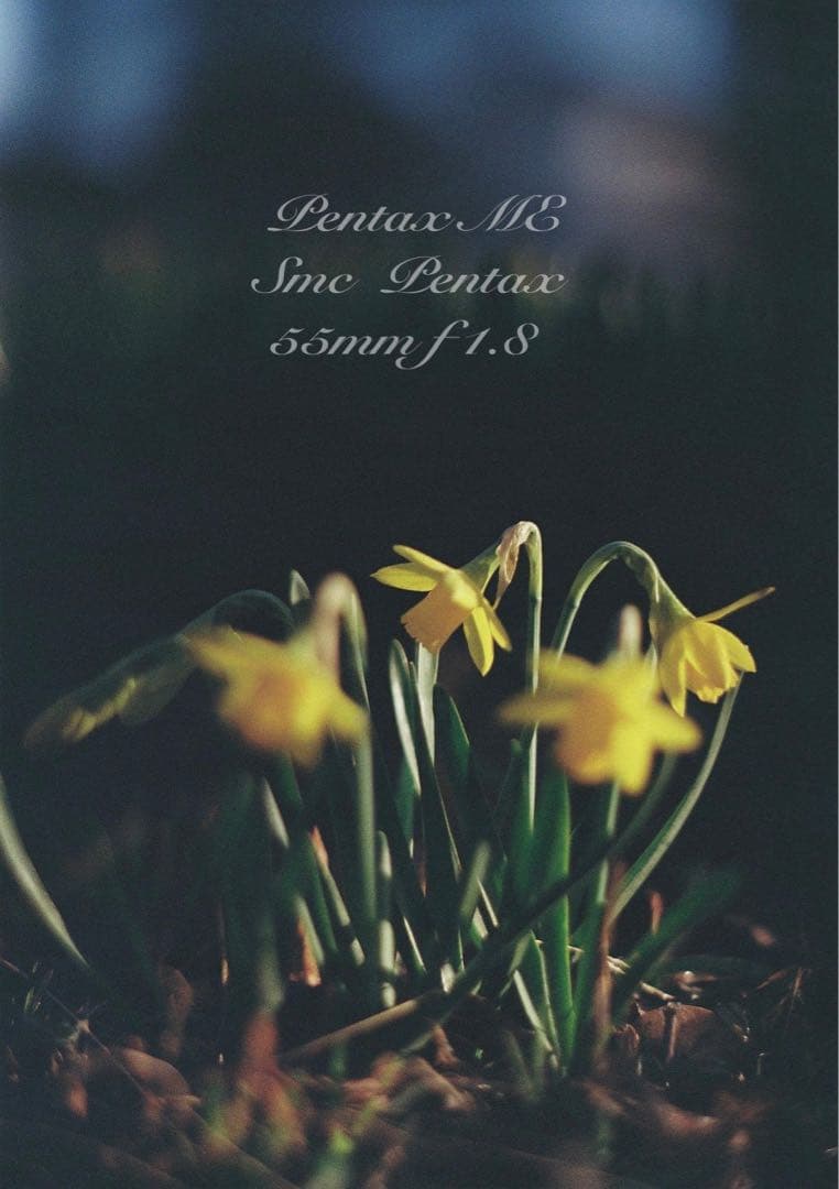 フィルム入門に！完動品＊超美品★pentax me★初期保証付★作例多数！