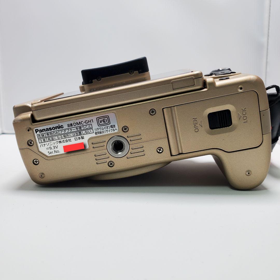 パナソニック LUMIX GH1 ディフューザー まとめ売り