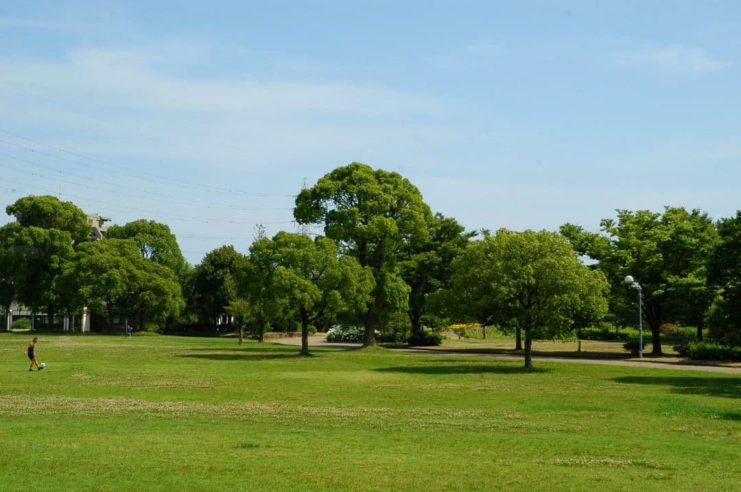 NIKON D100 標準ズームレンズ付