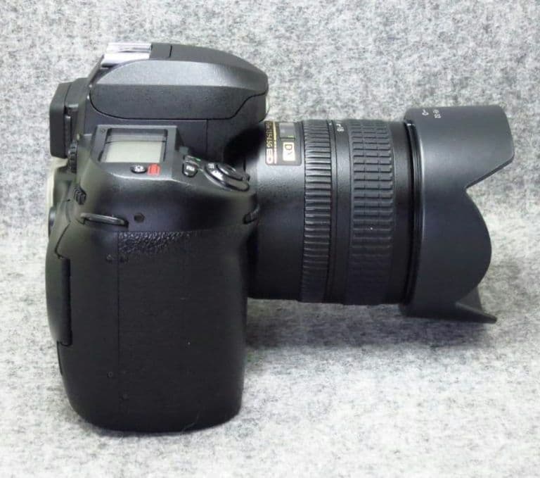 NIKON D100 標準ズームレンズ付
