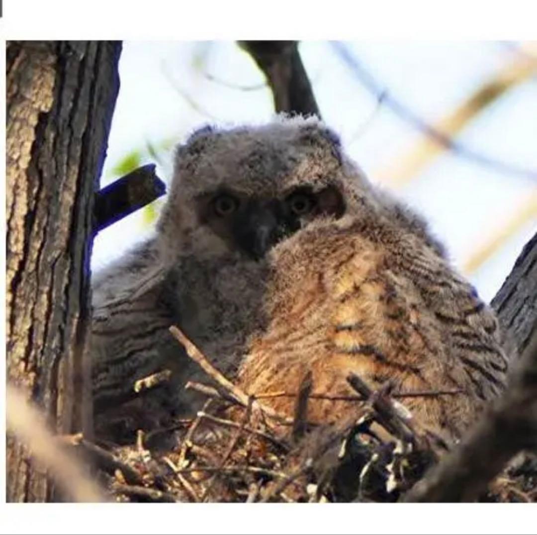 期間限定！値下げ！SONYミラーレスカメラ対応！ホワイトカラー　ズームレンズMF