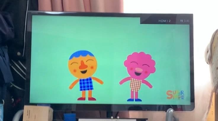 東芝REGZA液晶テレビ　32インチ ブルーライトカットカバー付　32S8