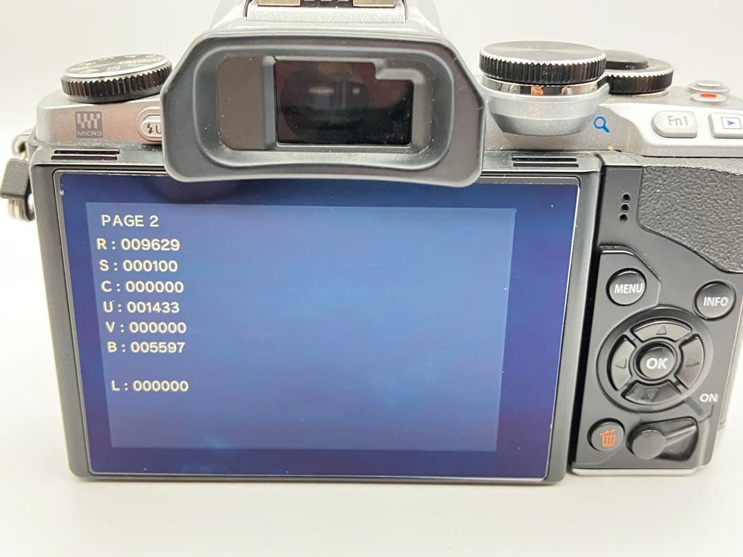 OLYMPUS OM-D E-M10 ミラーレス一眼カメラ　シャッター9629回